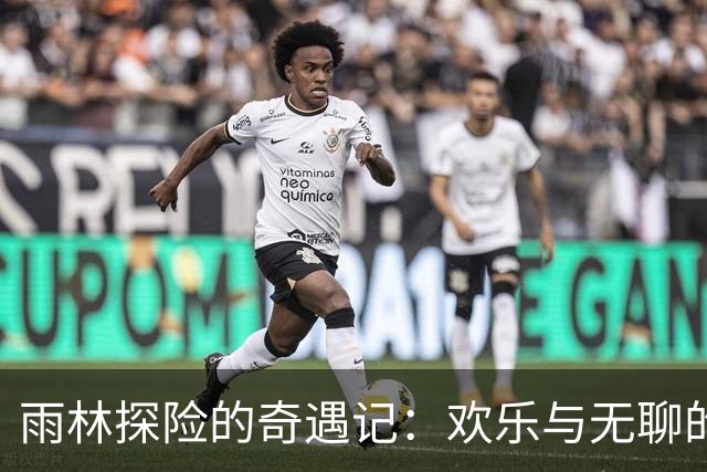 雨林探险的奇遇记：欢乐与无聊的嘉宾们
